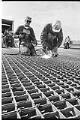 Image of Ironworkers skidproofing 1st Avenue S. bridge, Seattle, March 23, 1964